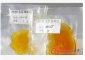 厂家 全国**包邮 大豆卵磷脂 磷脂酰胆碱 PC含量50%